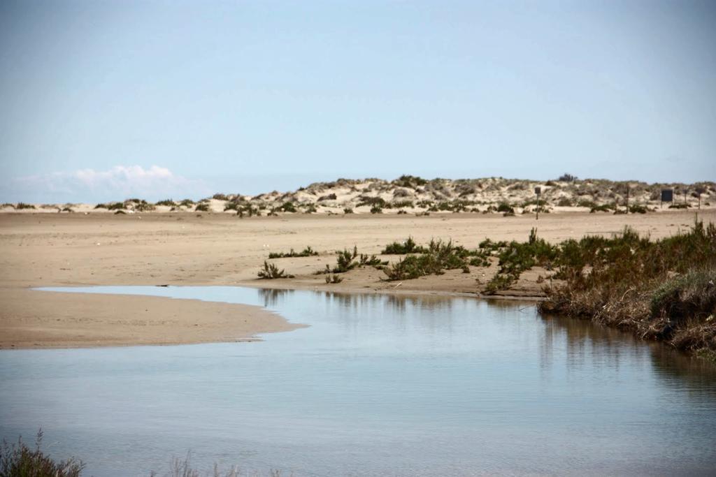 Mi Apartamento En El Delta Del Ebro デルテブレ エクステリア 写真