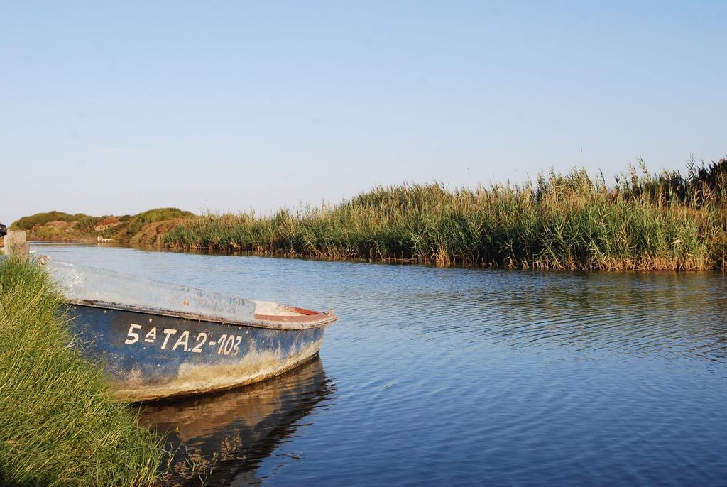 Mi Apartamento En El Delta Del Ebro デルテブレ エクステリア 写真