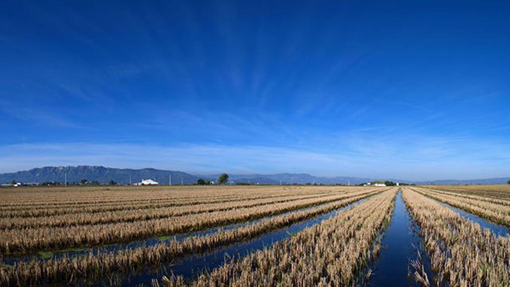 Mi Apartamento En El Delta Del Ebro デルテブレ エクステリア 写真