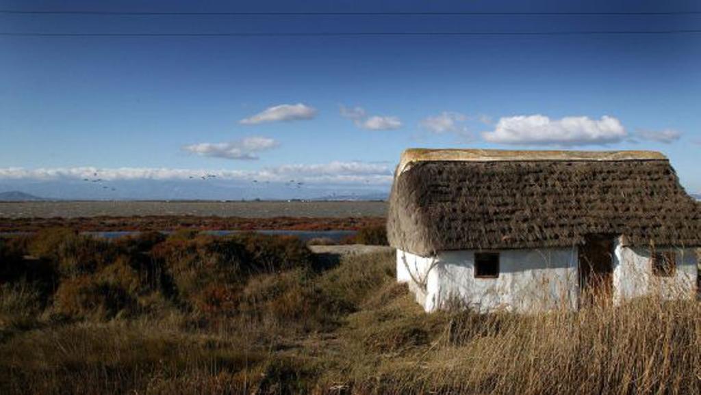 Mi Apartamento En El Delta Del Ebro デルテブレ エクステリア 写真