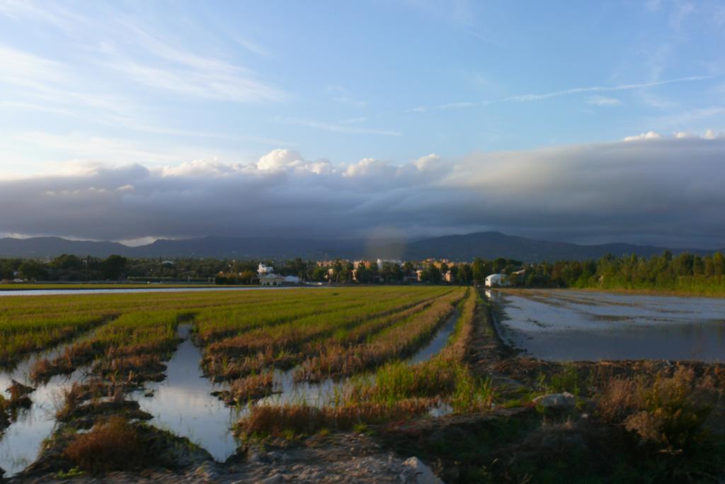 Mi Apartamento En El Delta Del Ebro デルテブレ エクステリア 写真